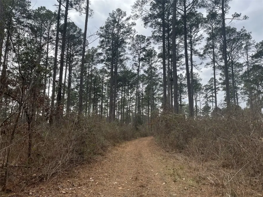 10-23-1 Gaston Rd Road, Spearsville, LA 71277 - Image #3