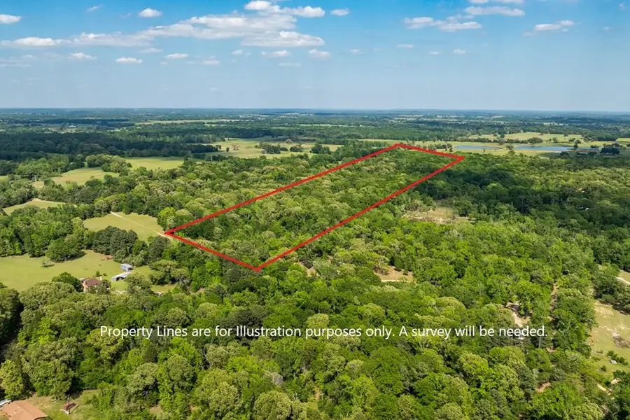 4605 County Road 3800, Athens, TX 75752 - Image #3
