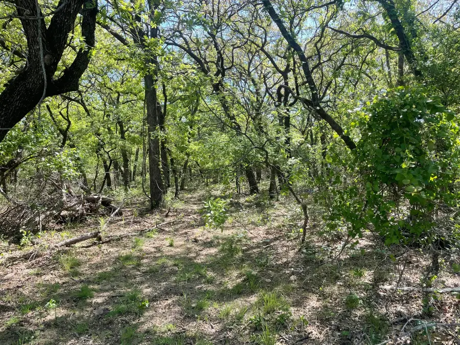 TBD Griffin St Griffin Street, Azle, TX 76020 - Image #2