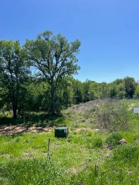 1004 Bermes Court, Brock, TX 76087 - Image #2