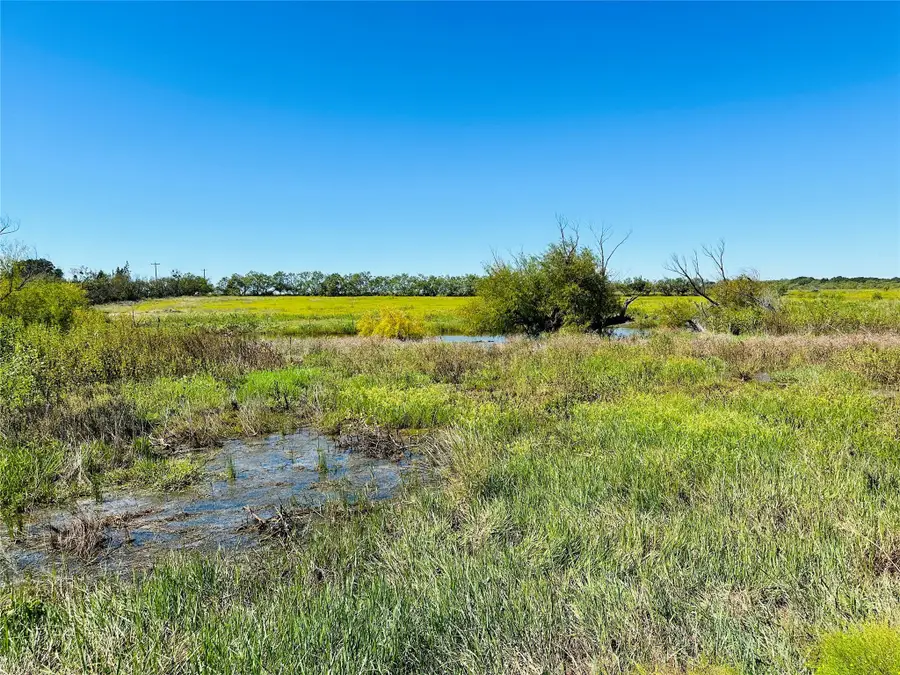 8648 Fm 2287, Cross Plains, TX 76443 - Image #3