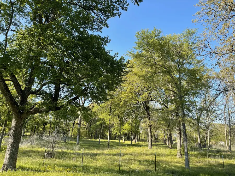 0000 Fm 1563, Wolfe City, TX 75496 - Image #3