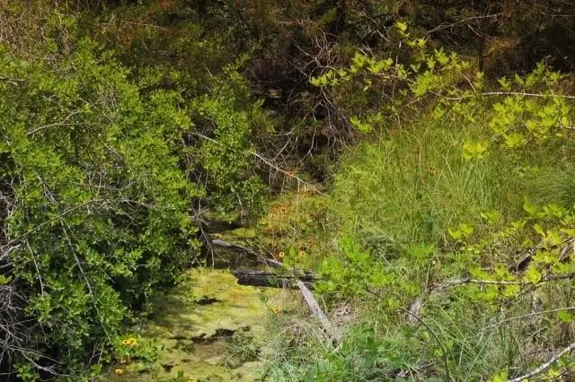 104 W Stagecoach Trail, Weatherford, TX 76085 - Image #1