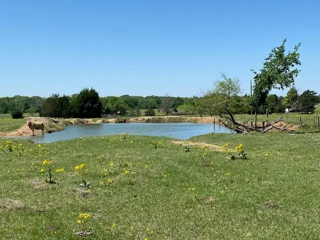 TBD Fm 607, Larue, TX 75770 - Image #3