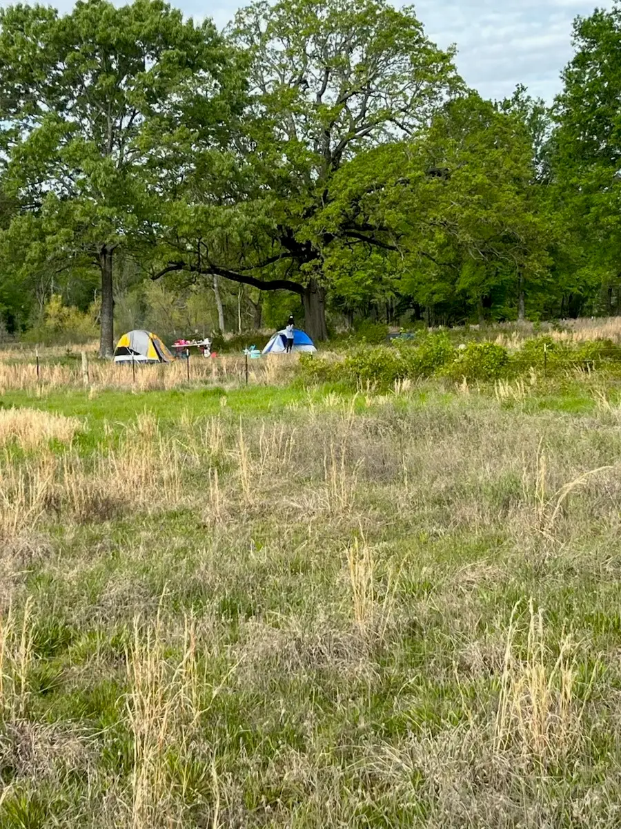 00 Bagwell Tract #37, Bagwell, TX 75412 - Image #3