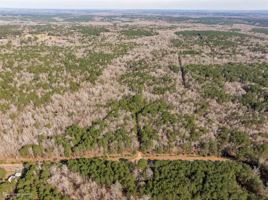 889 Fuller Cemetery E-4 Road, Minden, LA 71055 - Image #2