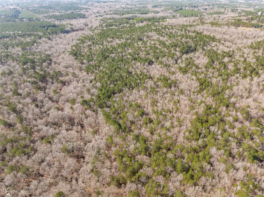 889 Fuller Cemetery E-5 Road, Minden, LA 71055 - Image #2