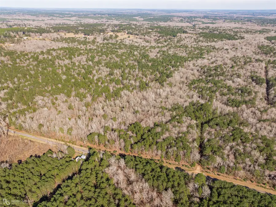 889 Fuller Cemetery E-5 Road, Minden, LA 71055 - Image #3