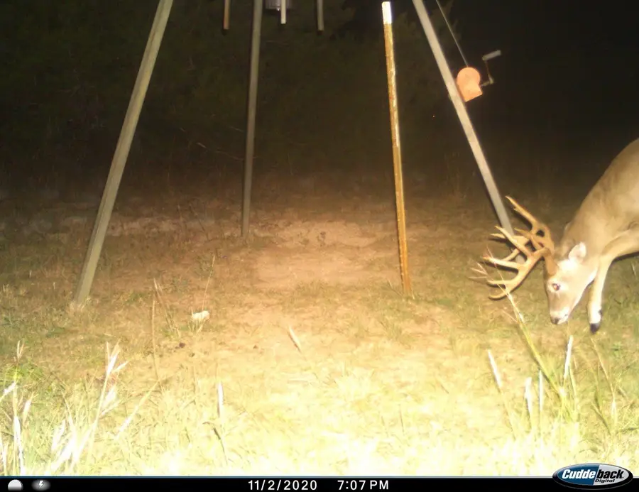 975 County Road 243, Valley Mills, TX 76689 - Image #2