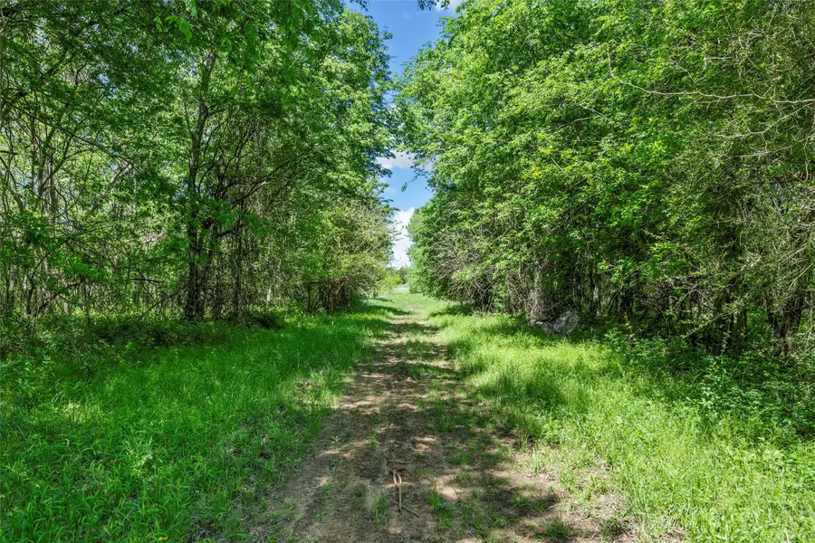 396 Lcr 510, Mexia, TX 76667 - Image #2