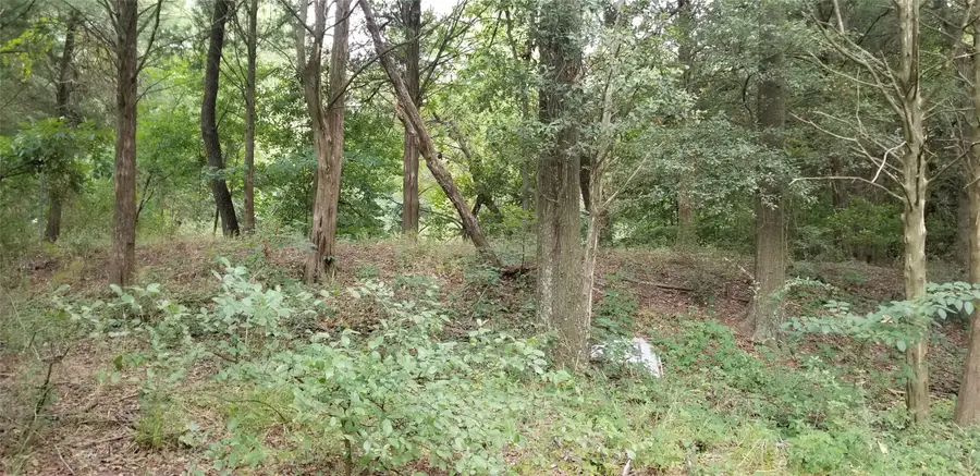 TBD Fm-2194, Celeste, TX 75423 - Image #3