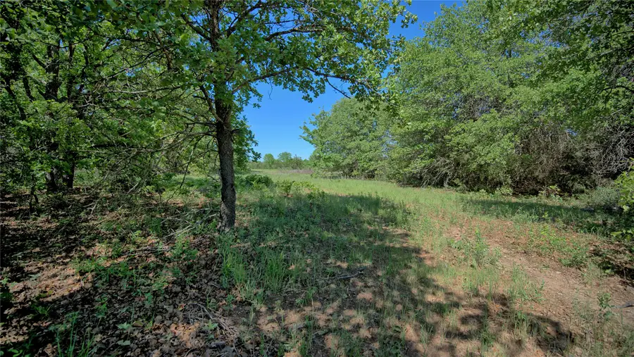 TBD Cr-1861, Chico, TX 76431 - Image #2