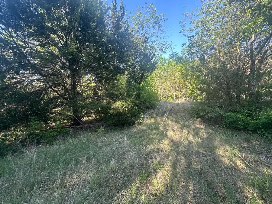 301 W Brand Road, Garland, TX 75040 - Image #3