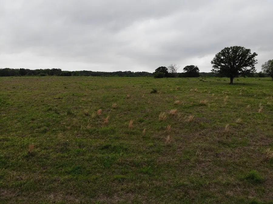 LOT 6 Rains County Rd 2610, Alba, TX 75410 - Image #3