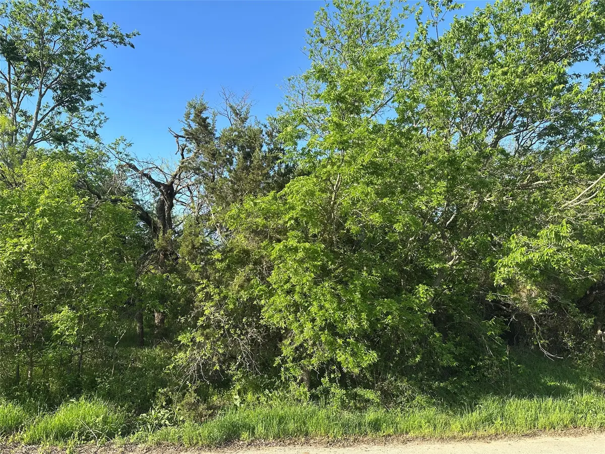 TBD Lot B Spring Road, Ranger, TX 76470 - Image #1