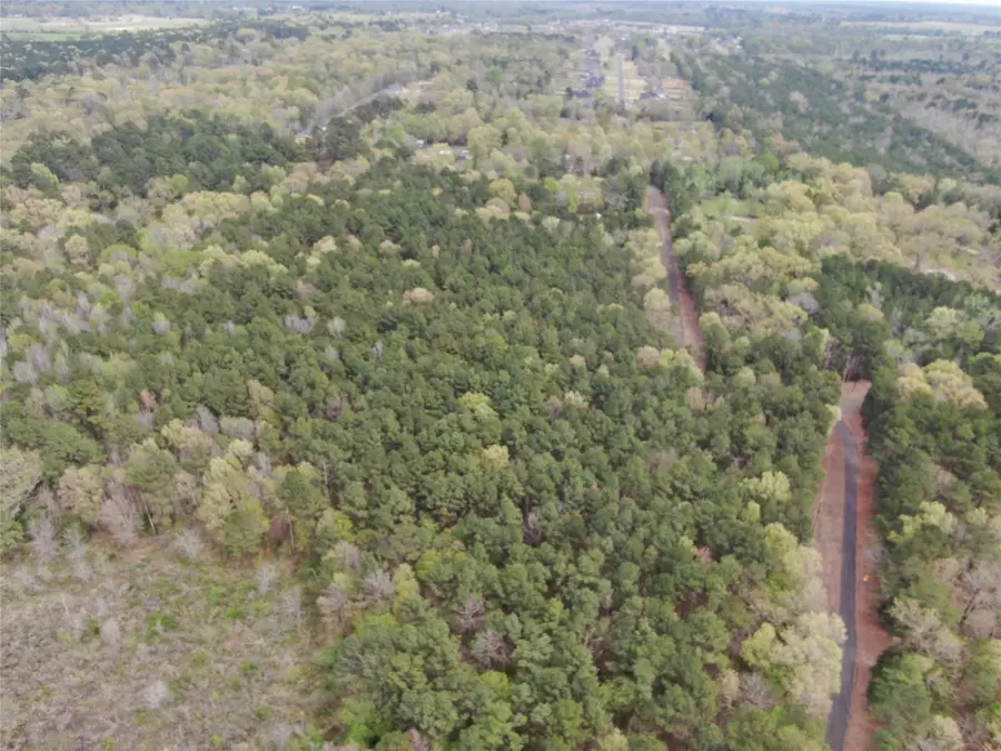 512 Rosemary Lane, Stonewall, LA 71078 - Image #3