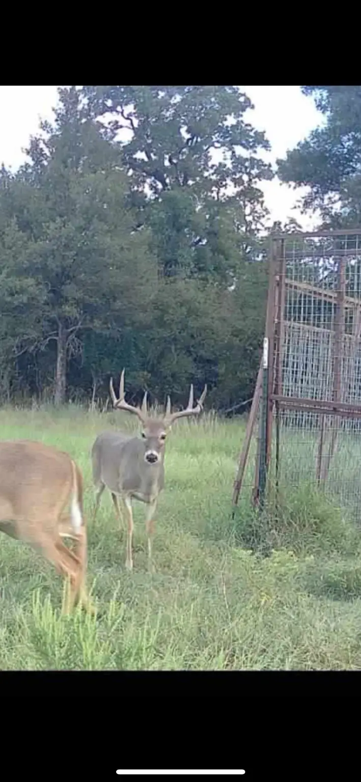 13215 County Road 136, Gordon, TX 76453 - Image #1