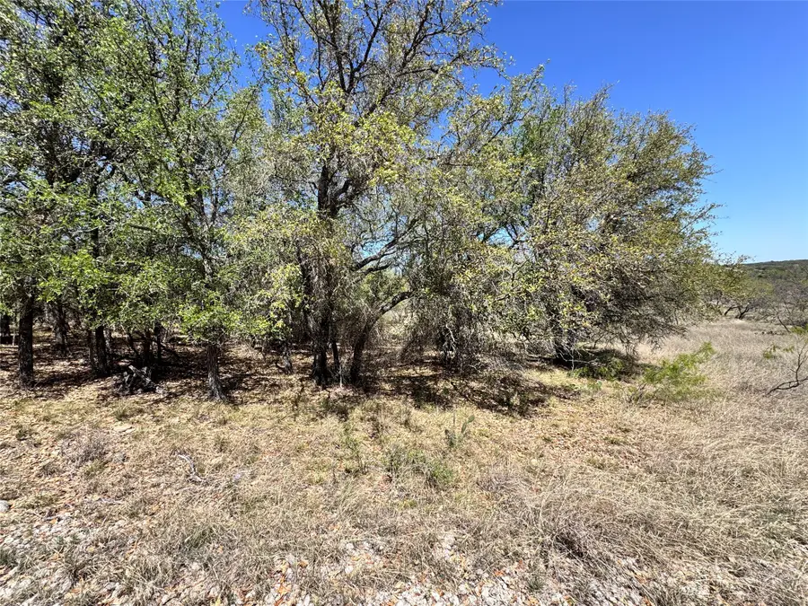 1185 Lake Hill Drive, May, TX 76857 - Image #2