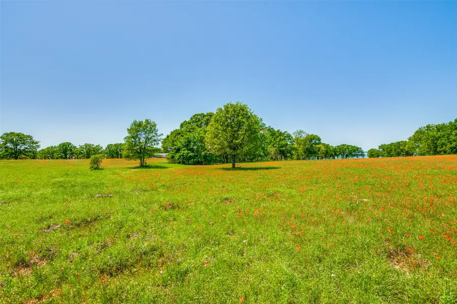 Lot 44 Paradise Cov, Streetman, TX 75859 - Image #2
