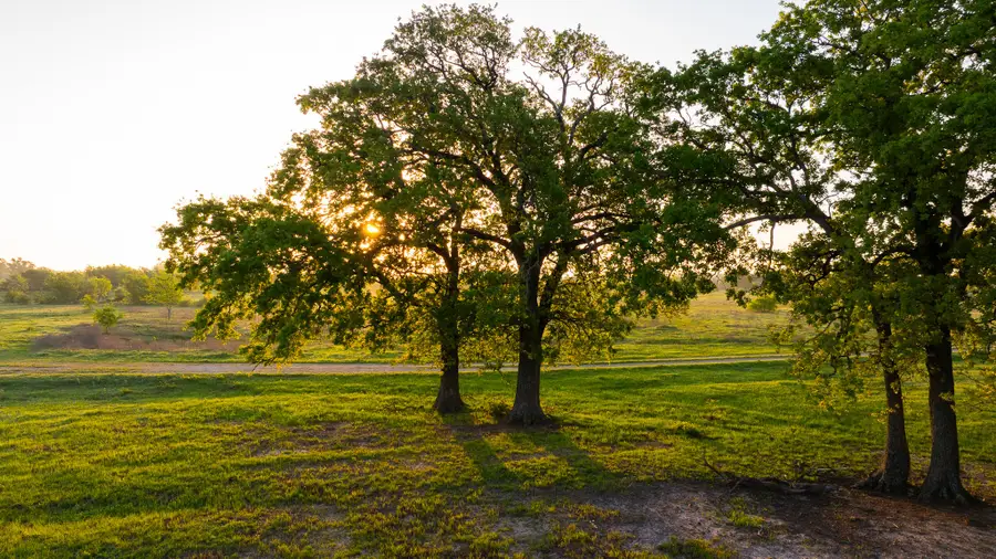 1020 County Road 751, Donie, TX 75838 - Image #3