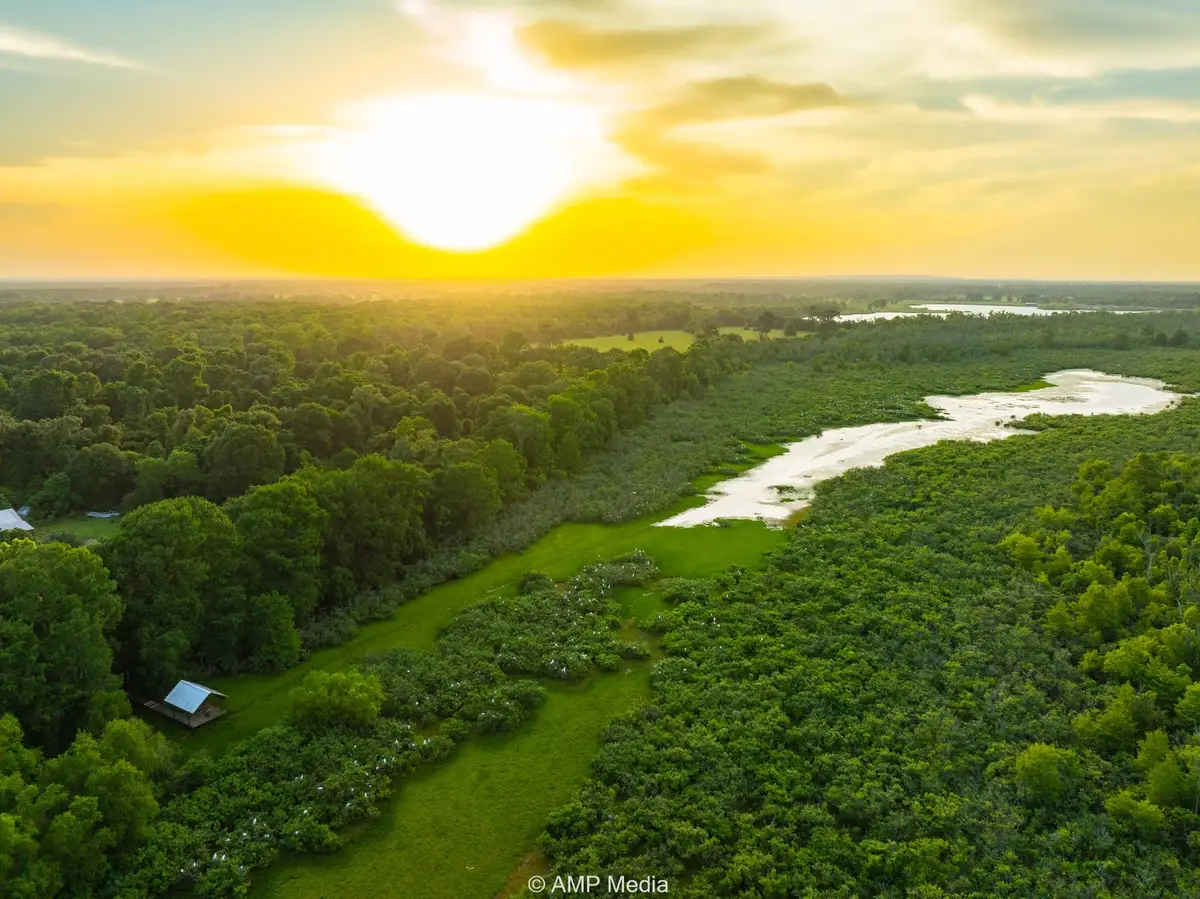 1180 County Road 2099, Liberty, TX 77575 - Image #1