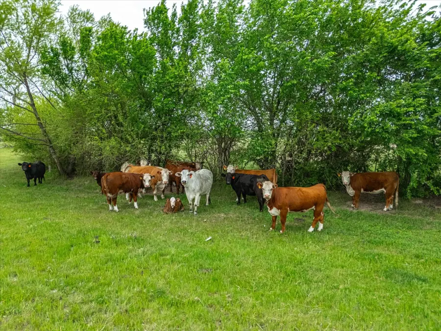 TBD Lot PT 15 & 16 County Road 1271, Alvord, TX 76225 - Image #3