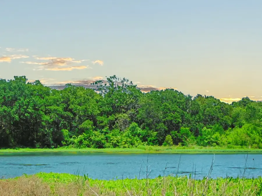 TBD SE County Road 4030, Kerens, TX 75144 - Image #3