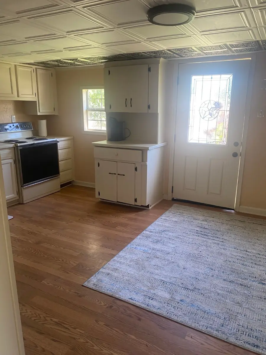 111 Ebner Street, Graford, TX 76449 - Image #3