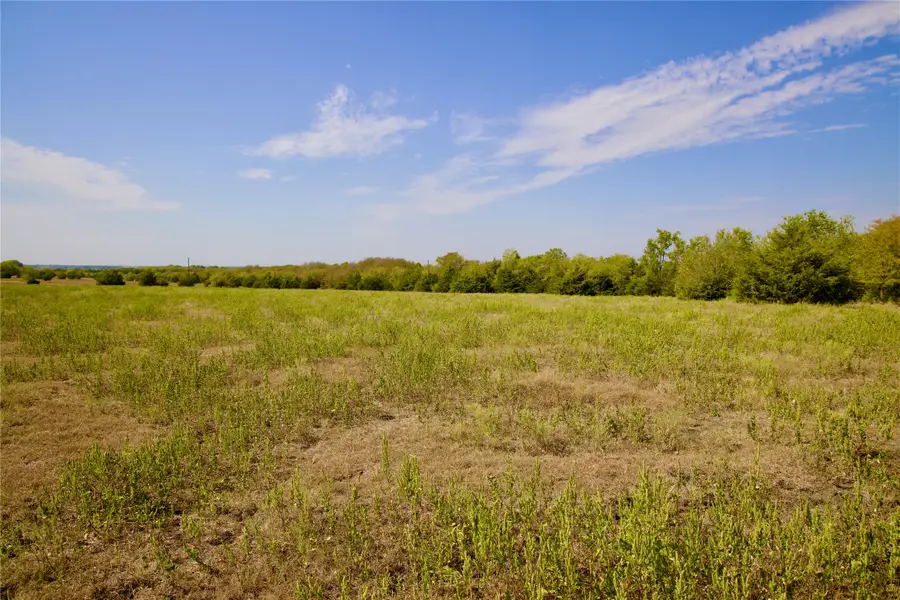 Tract 1 County Road 2935, Dodd City, TX 75438 - Image #3