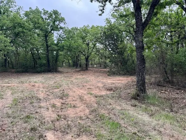35 AC Two Bush Rd, Perrin, TX 76486 - Image #1