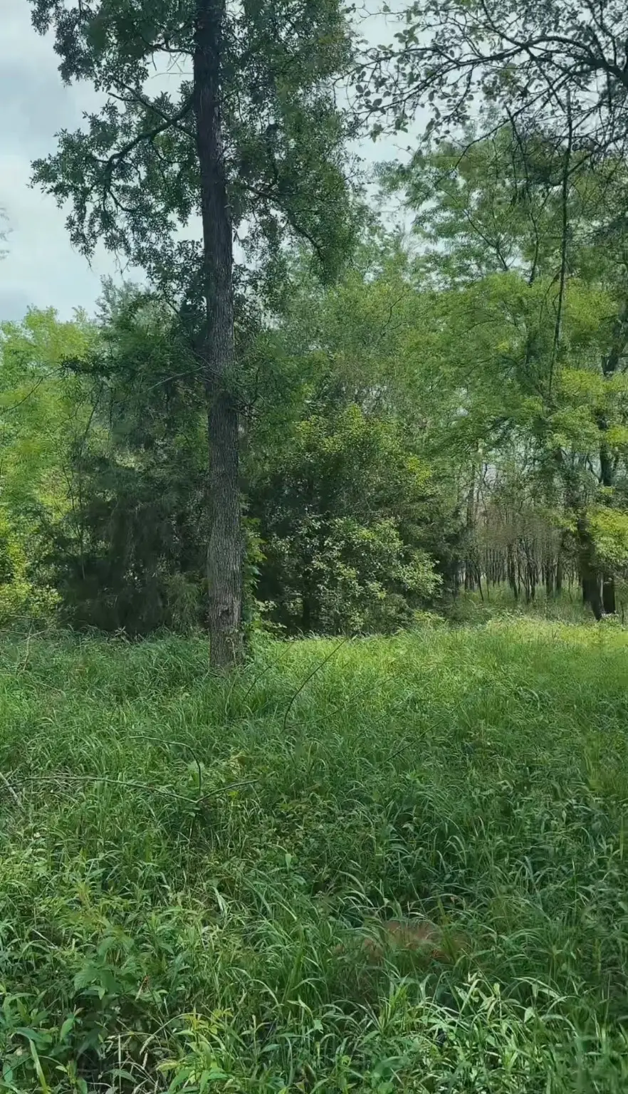 000 Channing Lane, Wills Point, TX 75169 - Image #2