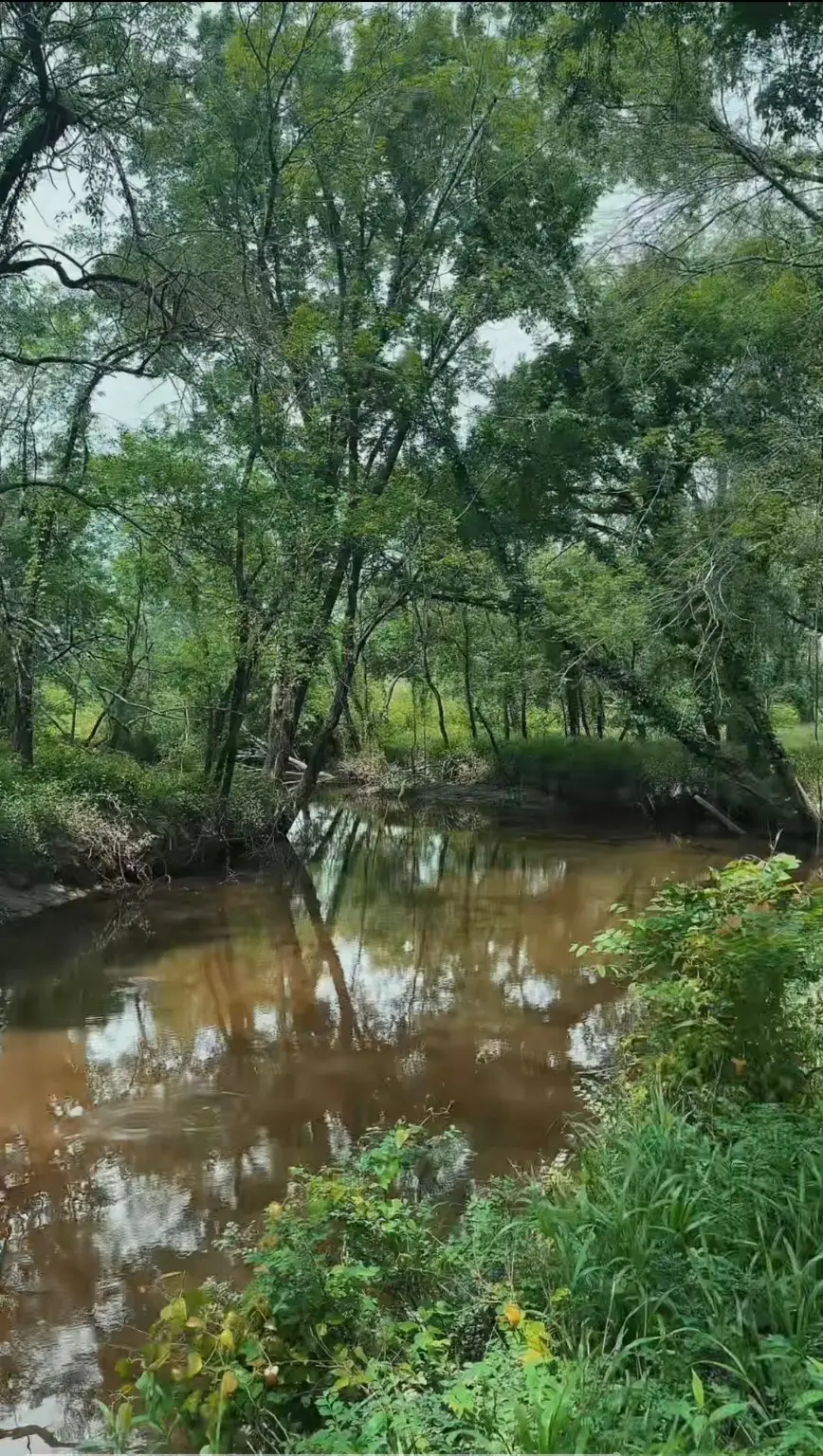 000 Channing Lane, Wills Point, TX 75169 - Image #3