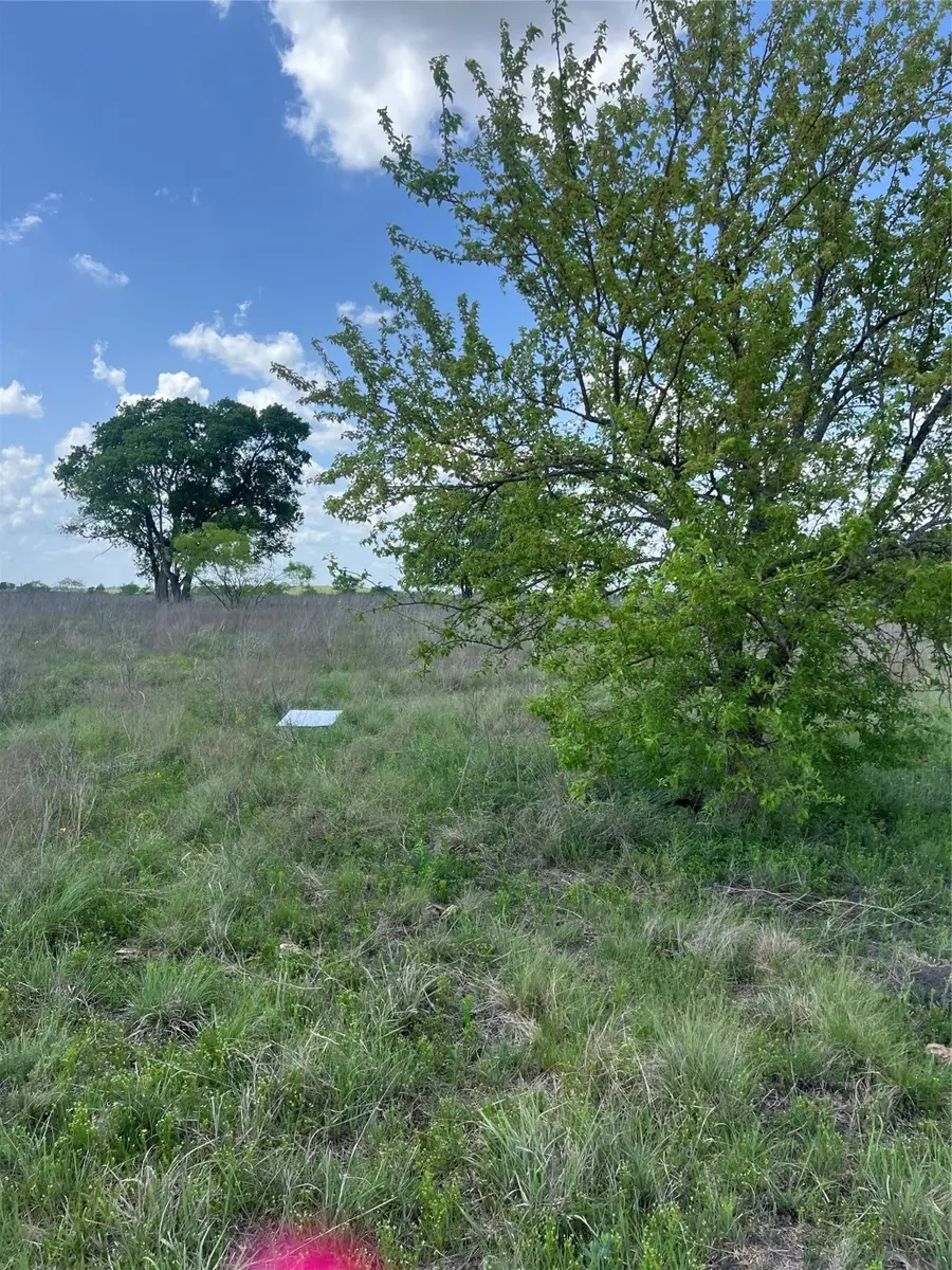 #28 Private Road 4311, Jonesboro, TX 76531 - Image #3