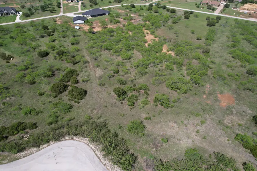 313 Cinnamon Teal, Graford, TX 76449 - #2