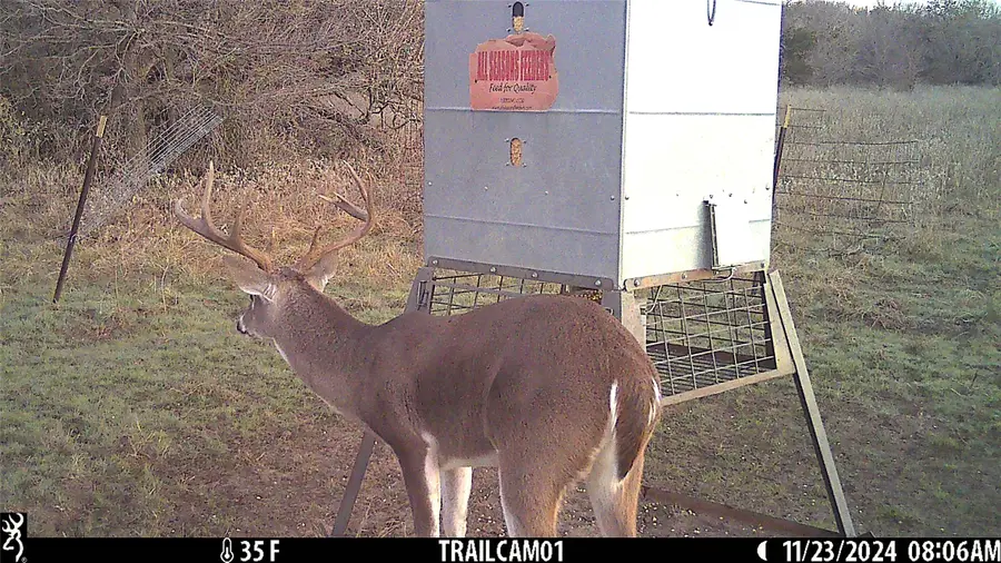 10840 281 Highway, Perrin, TX 76486 - Image #2