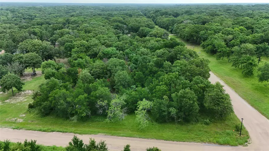 100 Oakmont Drive, Mabank, TX 75147 - Image #2