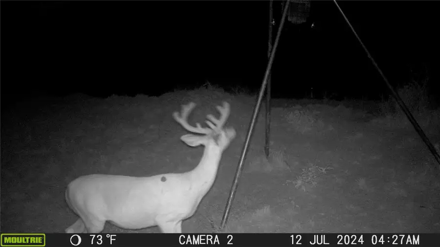 T.B.D. Cr 120, Brownwood, TX 76801 - Image #2