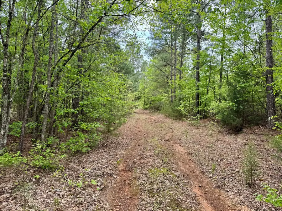 TBD County Road 2742, Naples, TX 75568 - Image #2