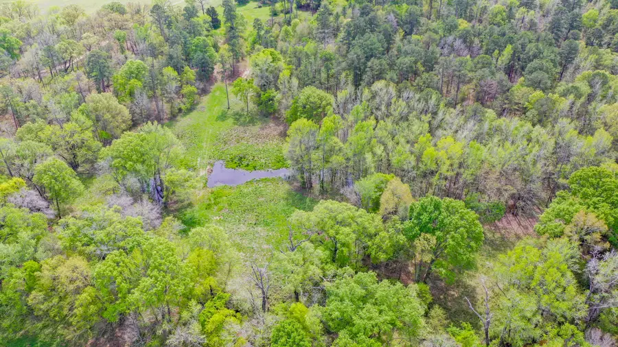 00 Fm 315, Larue, TX 75770 - Image #3