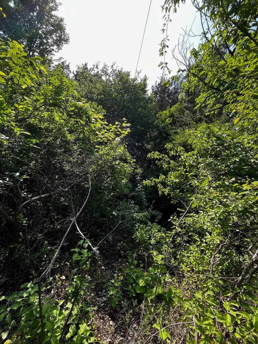 2200 Bear Creek Road, Cedar Hill, TX 75104 - Image #2