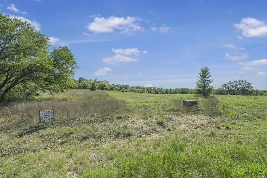 1053 Annabelles Avenue, Weatherford, TX 76087 - Image #3