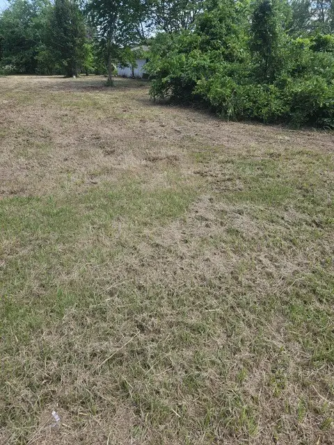 1726 County Road 279, Post Oak Bend City, TX 75142 - Image #3