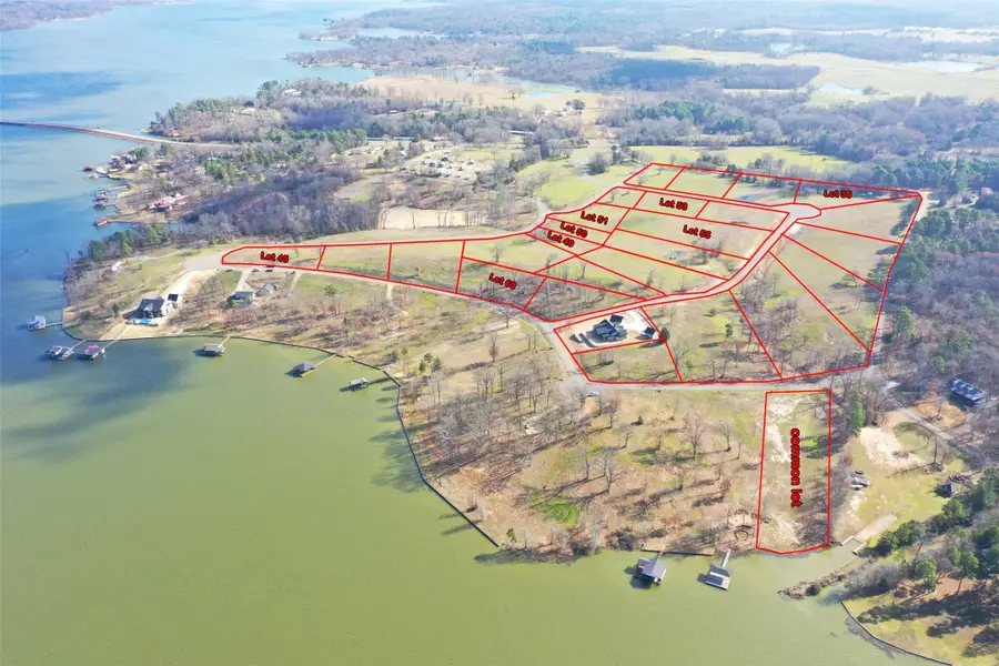 Lot 50 Southshores, Pittsburg, TX 75686 - Image #3