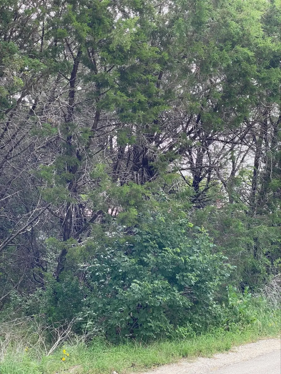 TBD Western Lake Drive, Weatherford, TX 76087 - Image #3