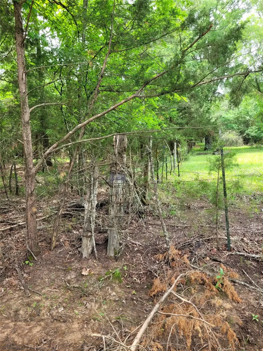TBD Cr 3145, Clarksville, TX 75426 - Image #2