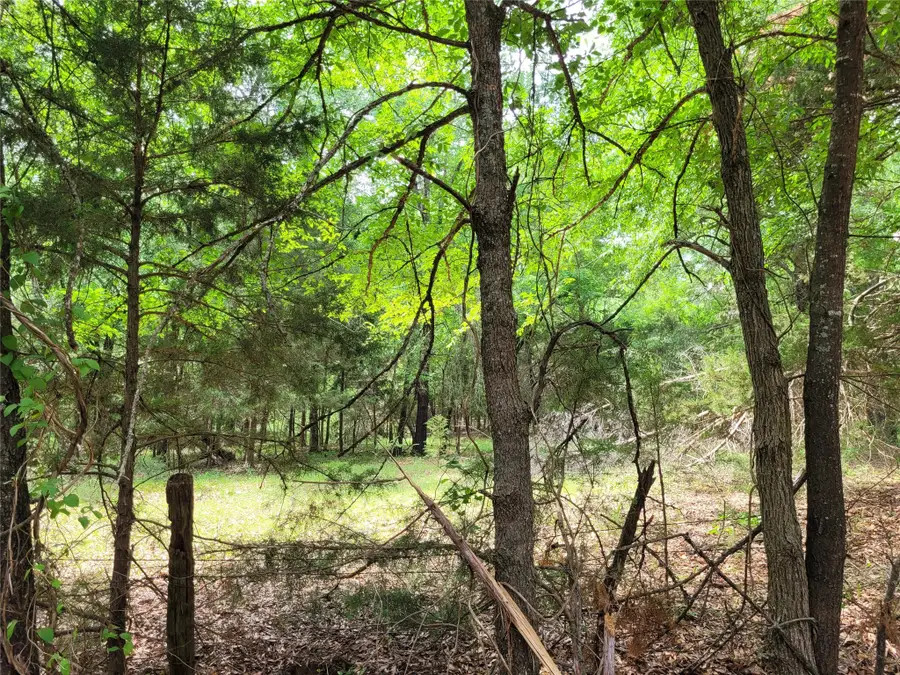 TBD Cr 3145, Clarksville, TX 75426 - Image #3
