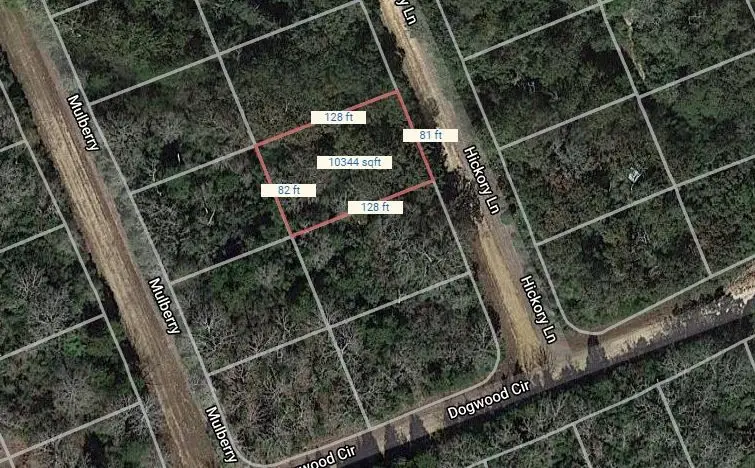 Lot 28 Mulberry Lane, Normangee, TX 77871 - Image #1