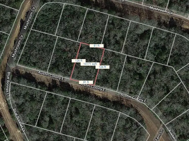 Lot 51 E Austin Colony, Normangee, TX 77871 - #1