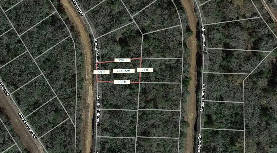 Lot 29 E Austin Colony, Normangee, TX 77871 - Image #1
