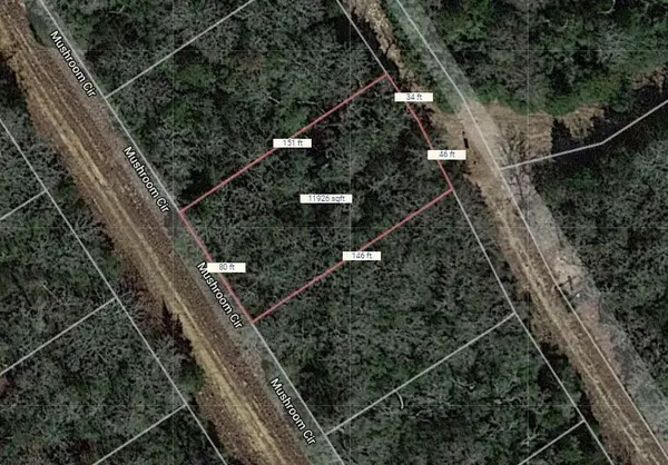 Lot 24 Mushroom Circle, Normangee, TX 77871